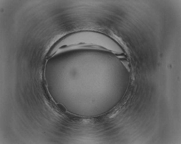 X0000087350060200705181137