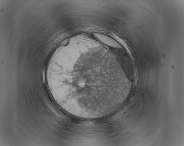 X0000087350061200705181137