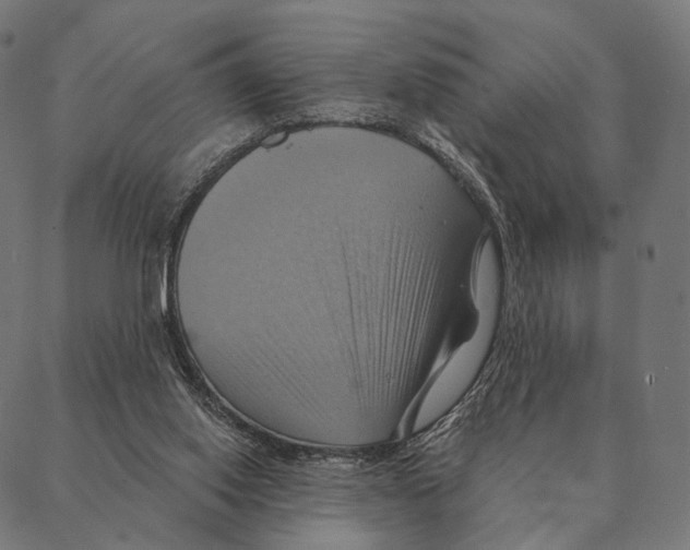 X0000087350062200705181137