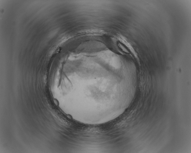 X0000087350063200705181137