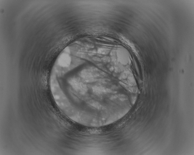 X0000087350065200705181137