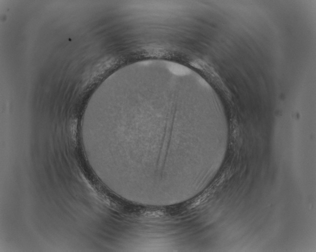 X0000087350066200705181137