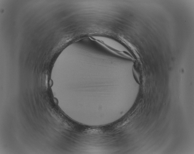 X0000087350067200705181137