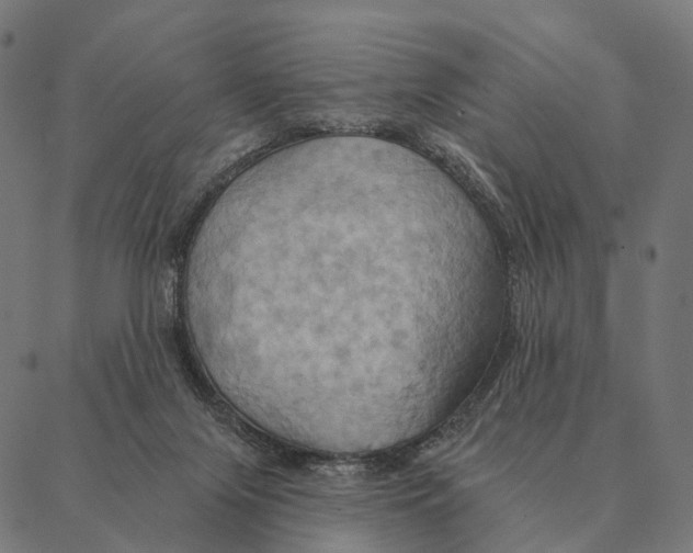 X0000087350071200705181137