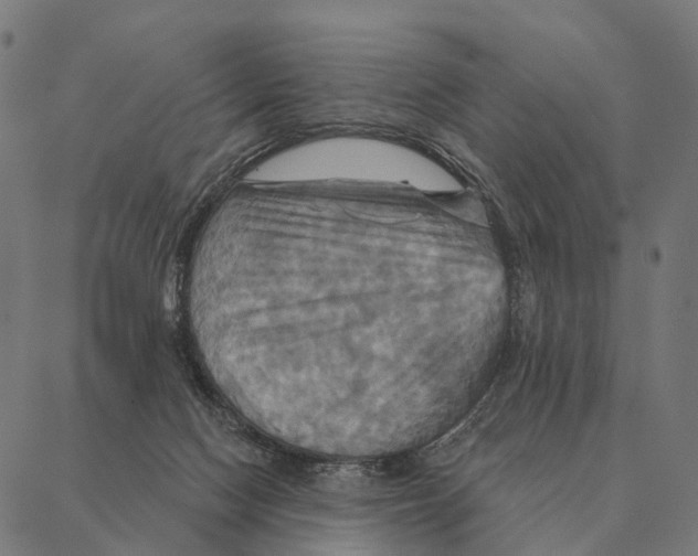 X0000087350074200705181137