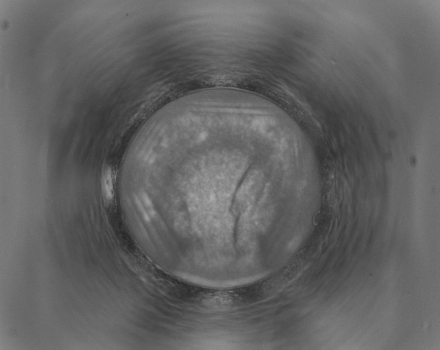 X0000087350075200705181137