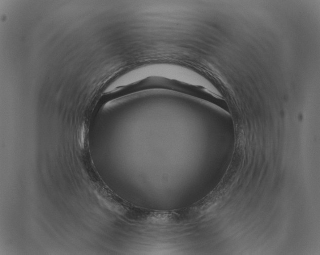 X0000087350076200705181137