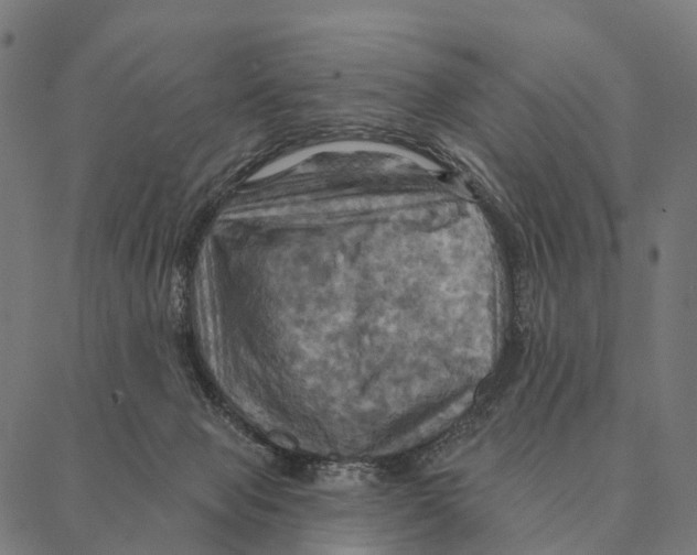 X0000087350077200705181137