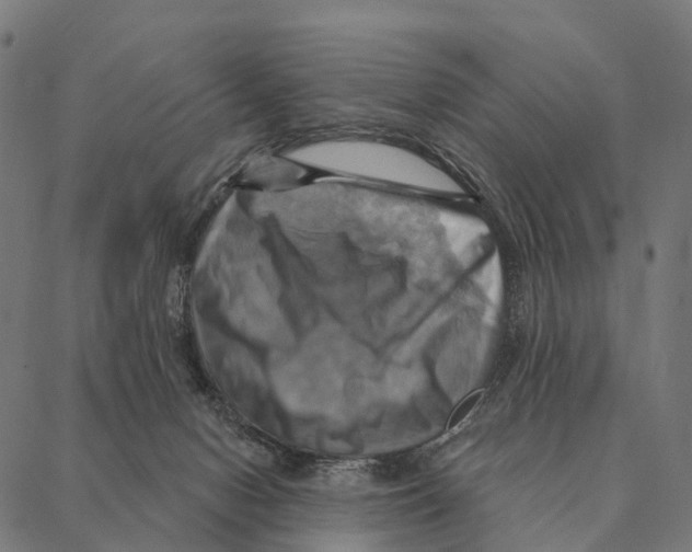 X0000087350078200705181137