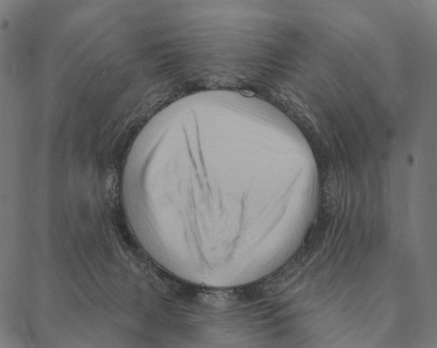 X0000087350079200705181137