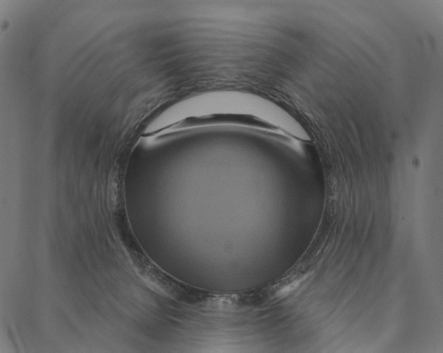 X0000087350080200705181137