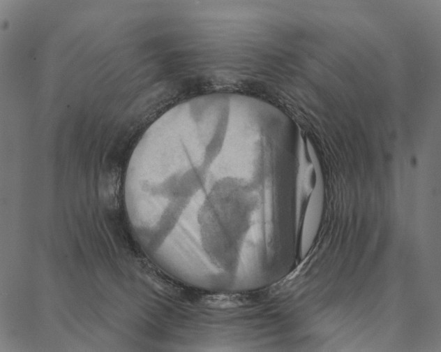 X0000087350082200705181137