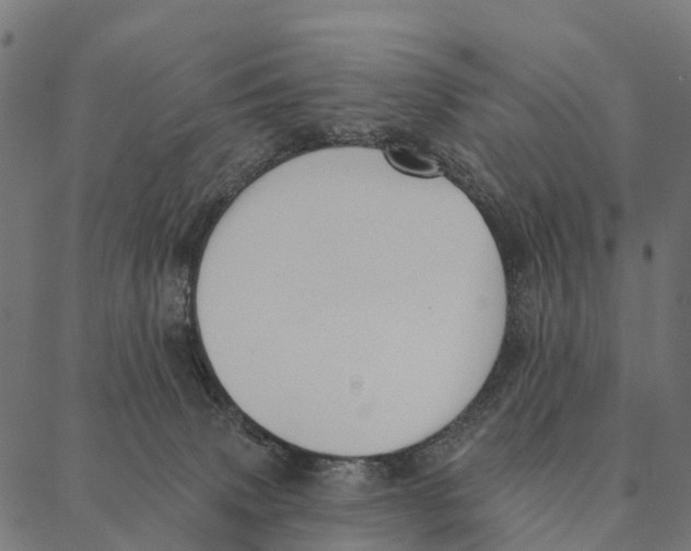 X0000087350083200705181137