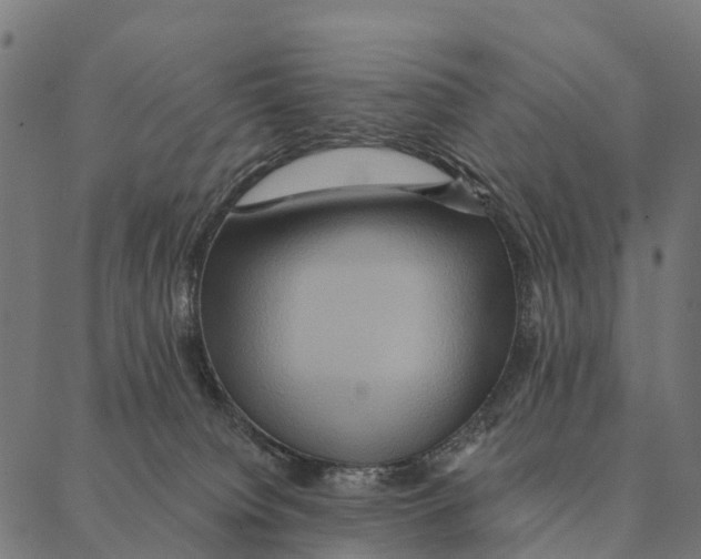 X0000087350084200705181137