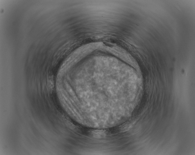 X0000087350085200705181137