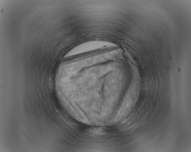 X0000087350086200705181137