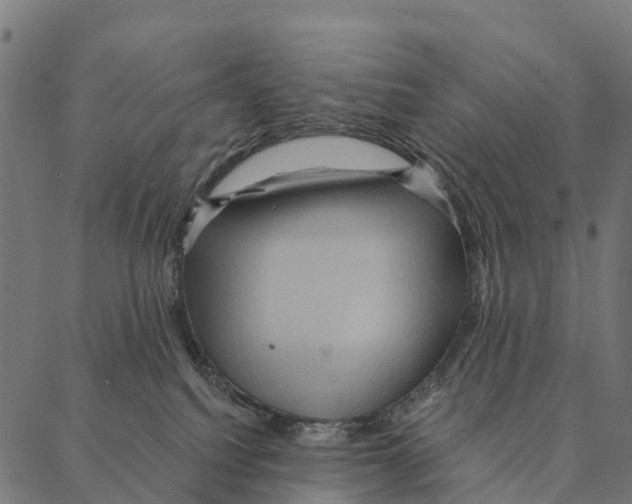 X0000087350088200705181137