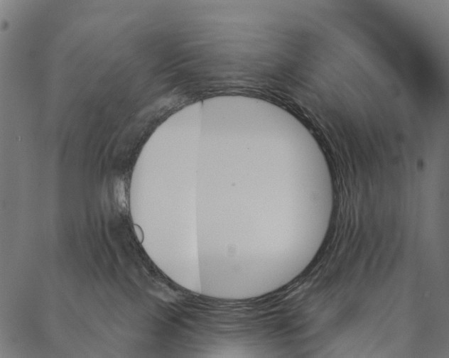 X0000087350089200705181137