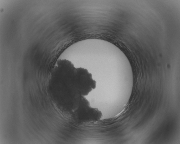 X0000087350090200705181137