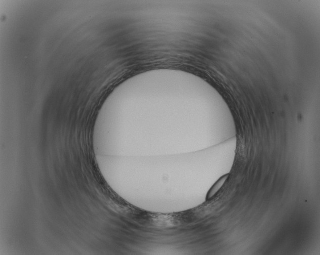 X0000087350091200705181137