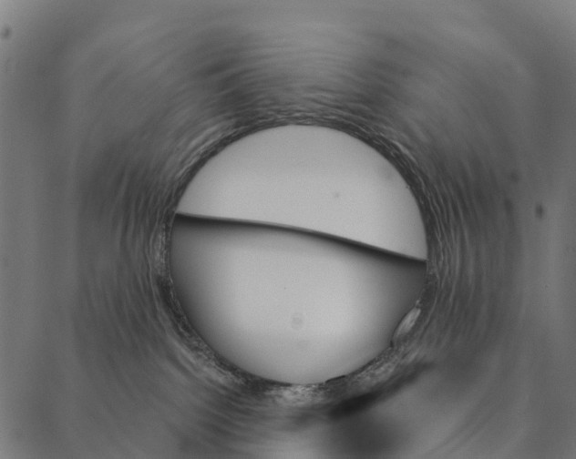 X0000087350092200705181137