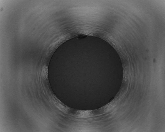 X0000087350093200705181137