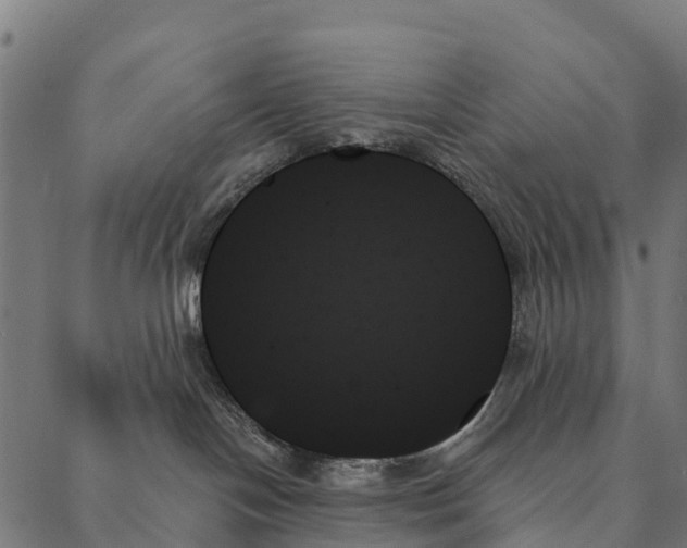 X0000087350094200705181137