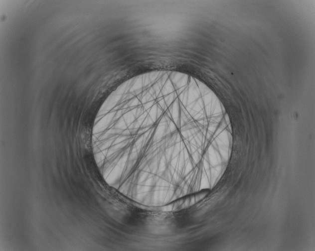 X0000087350096200705181137