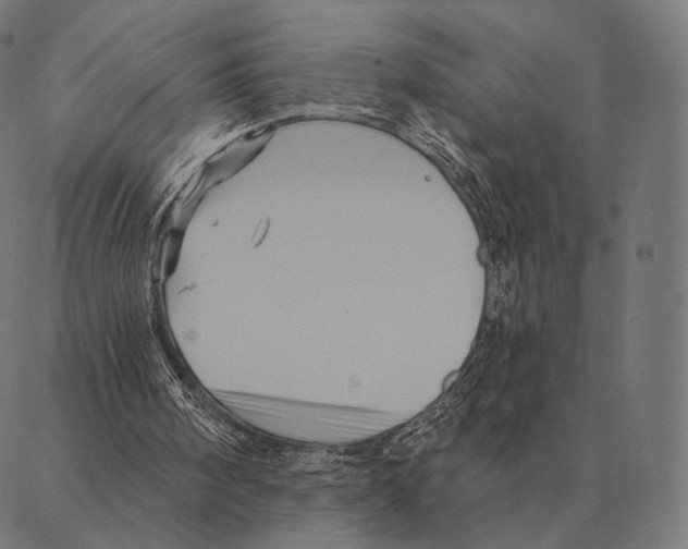 X0000087350098200705181136