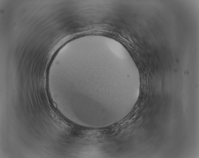 X0000087350100200705181136