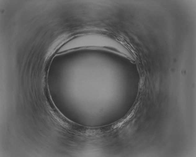 X0000087350101200705181136