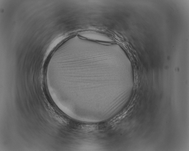 X0000087350102200705181136