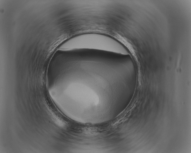 X0000087350105200705181136