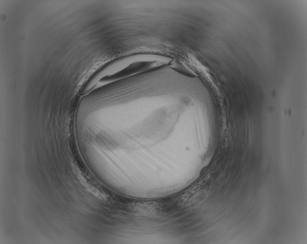 X0000087350106200705181136