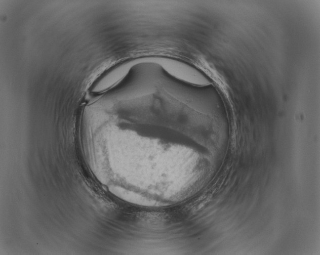 X0000087350107200705181136