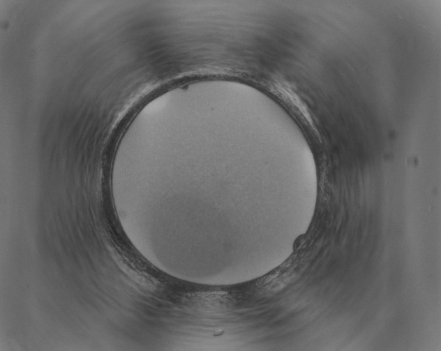 X0000087350108200705181136