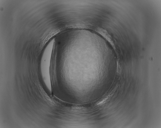 X0000087350109200705181136