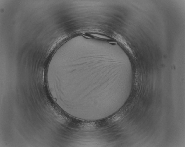 X0000087350110200705181136