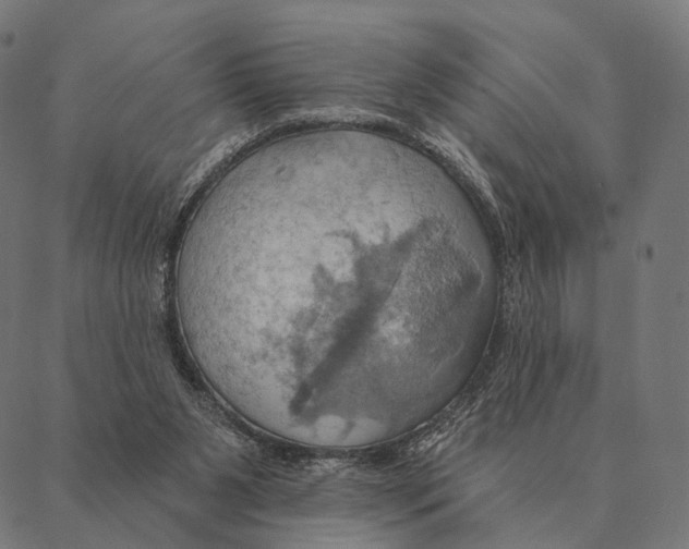 X0000087350111200705181136