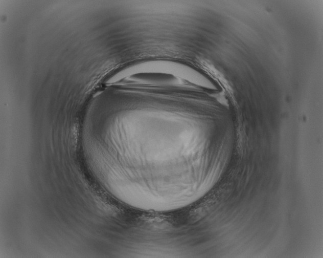 X0000087350113200705181136