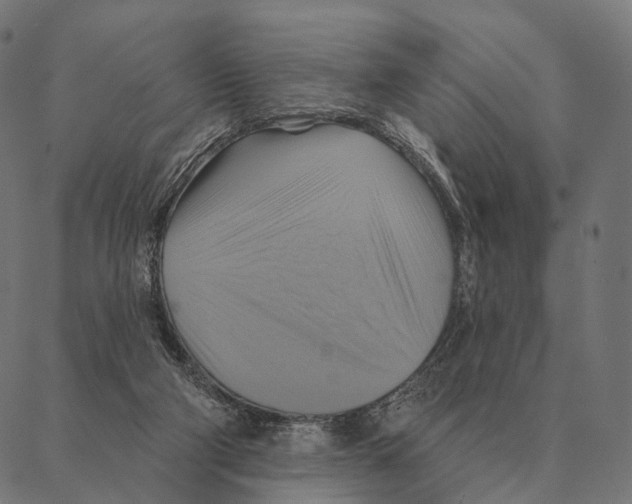 X0000087350114200705181136