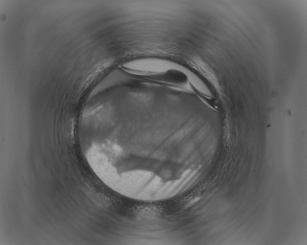 X0000087350115200705181136