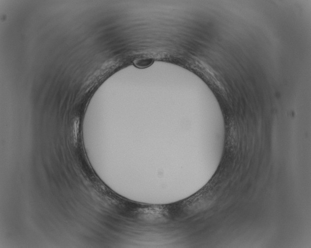 X0000087350118200705181136