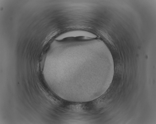 X0000087350120200705181136