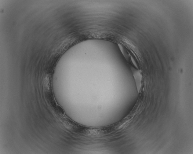 X0000087350121200705181136