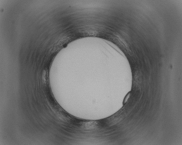 X0000087350122200705181136