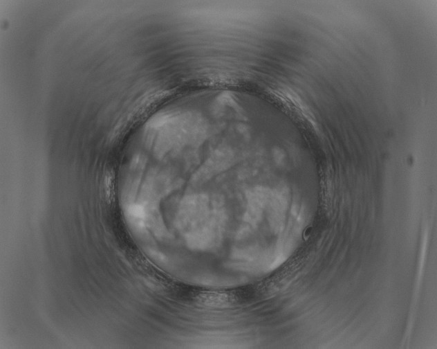 X0000087350123200705181136