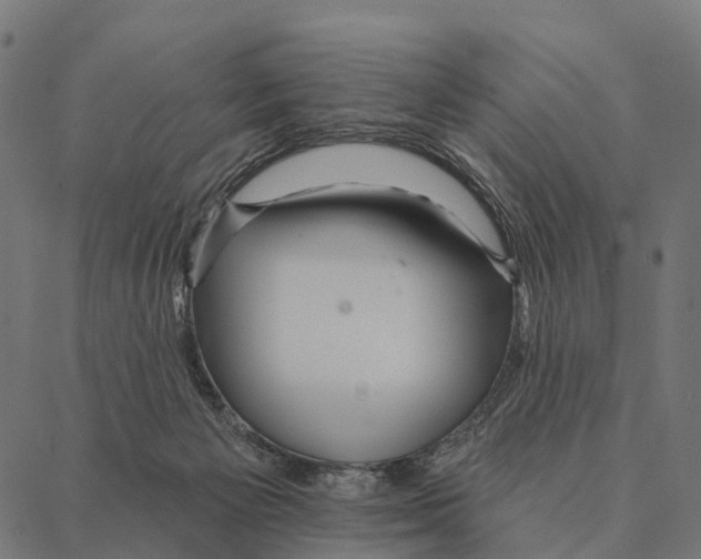 X0000087350125200705181136