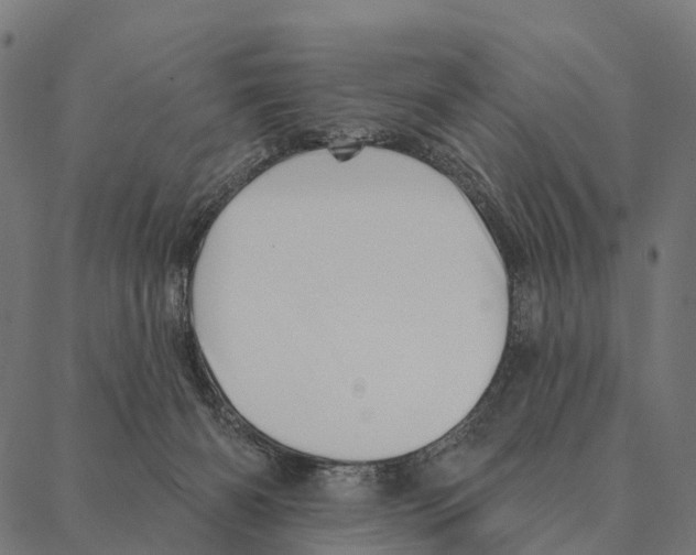 X0000087350126200705181136