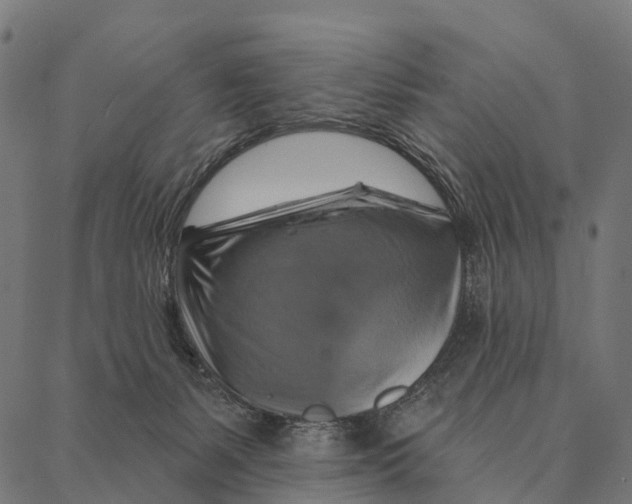 X0000087350127200705181136